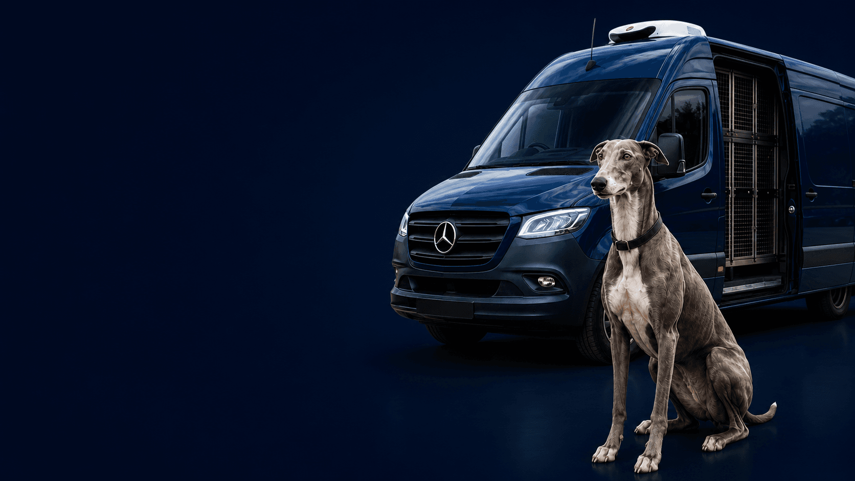 FM Transport blue dog transport van with a greyhound
